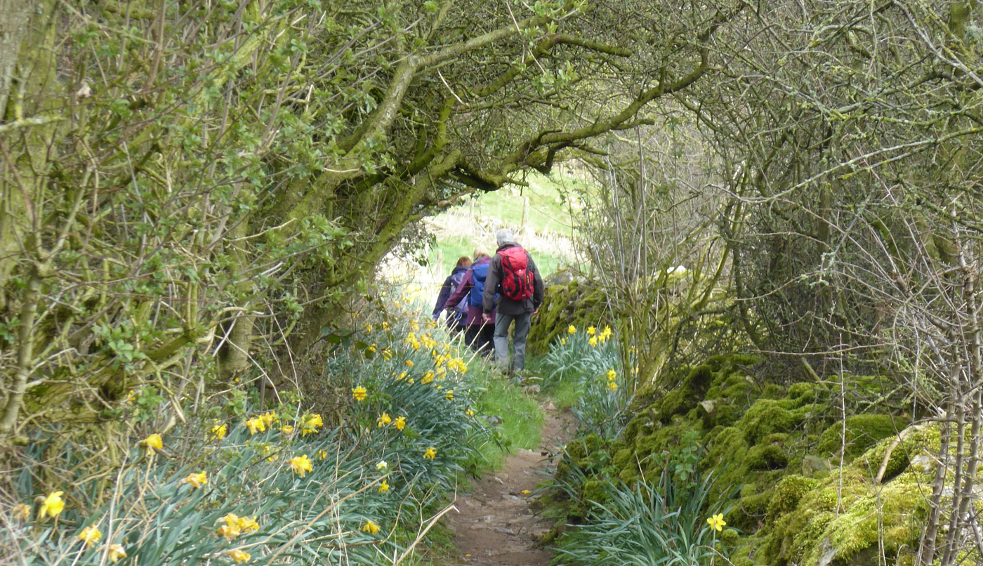  Gypsy Bank Dovedale 
